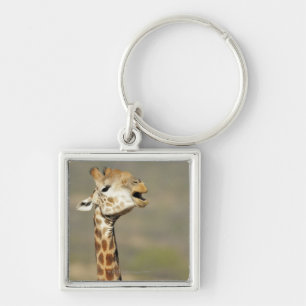 Südliche afrikanische Giraffe (Giraffa Schlüsselanhänger