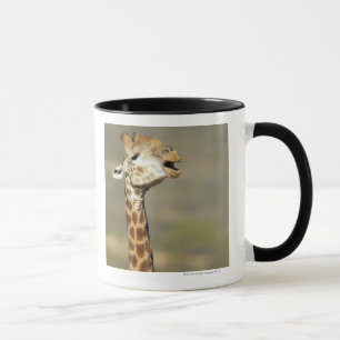 Südliche afrikanische Giraffe (Giraffa Tasse