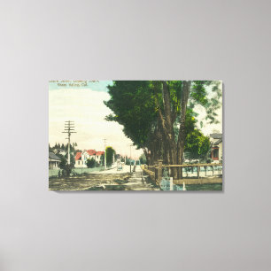 Südliche Ansicht von der kastanienbraunen Straße Leinwanddruck