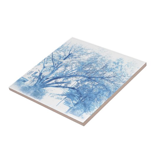 Südliche blaue Eiche Toile Fliese (Seite)