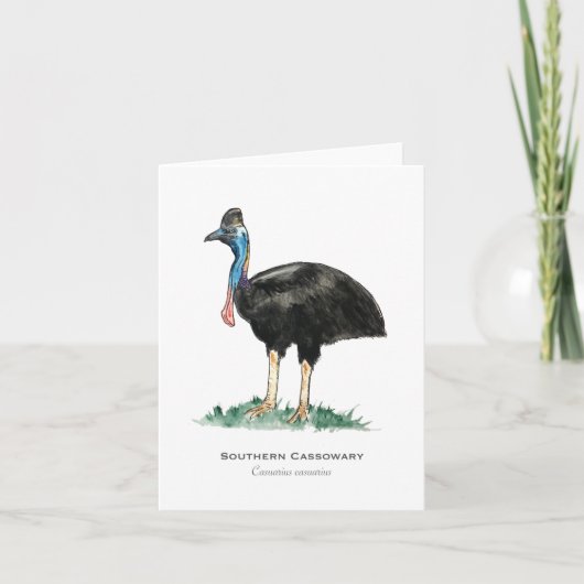 Südliche Cassowary-Faltkarte Karte (Vorderseite)