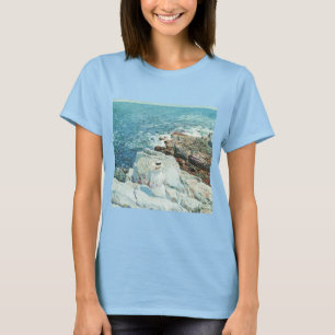 Südliche Felsvorsprünge, Appledore von Frederick C T-Shirt