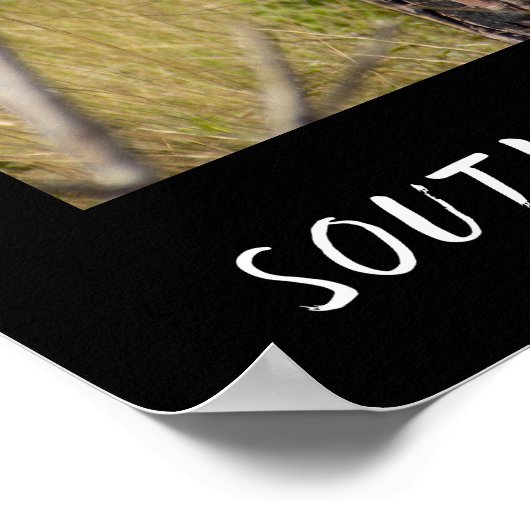 Südliche Foxenscheidenarten Poster (Ecke)