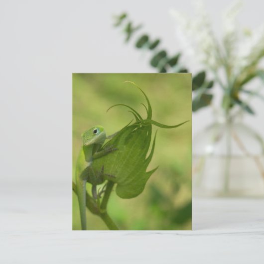 Südliche Grüntöne Postkarte (Stehend Vorderseite)