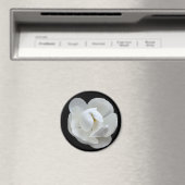 Südliche Lady Magnet (In Situ (Geschirrspüler))