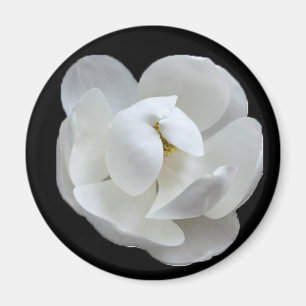 Südliche Lady Magnet