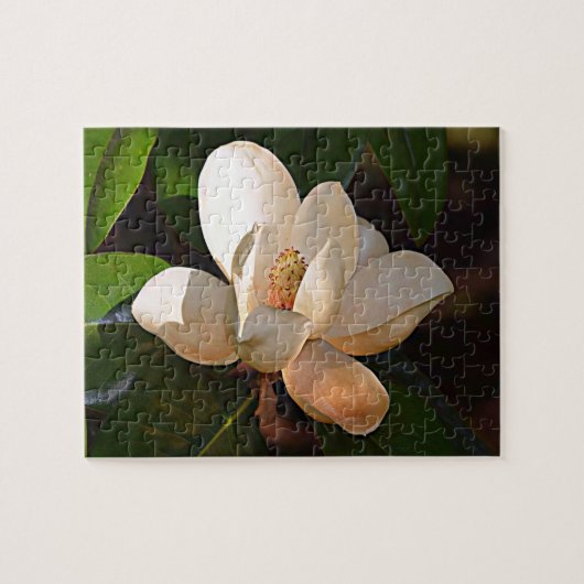 Südliche Magnolie Louisianas Puzzle (Horizontal)