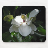 Südliche Magnolie Mousepad (Vorne)