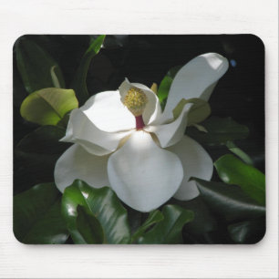 Südliche Magnolie Mousepad