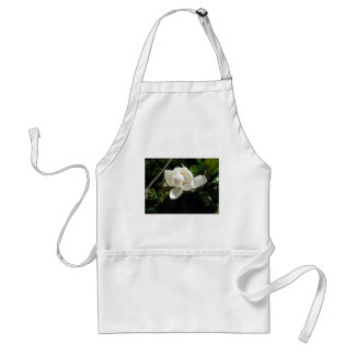 Südliche Magnolie Schürze