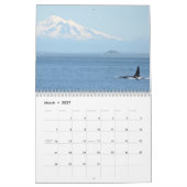 Südliche ResidentKillerwale Kalender (Mär 2027)