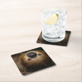 Südliche Zwei-Toed Trägheit Rechteckiger Pappuntersetzer (Vor Ort)