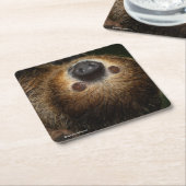 Südliche Zwei-Toed Trägheit Rechteckiger Pappuntersetzer (angewinkelt)