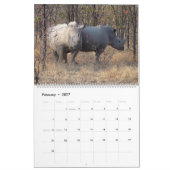 Südlicher Afrika 2009 Kalender (Feb 2027)