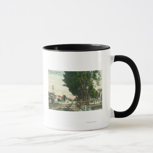 Südlicher Blick aus der Auburn Street Tasse (Rechts)