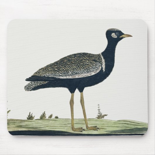 Südlicher Korhaan - Mousepad (Vorne)