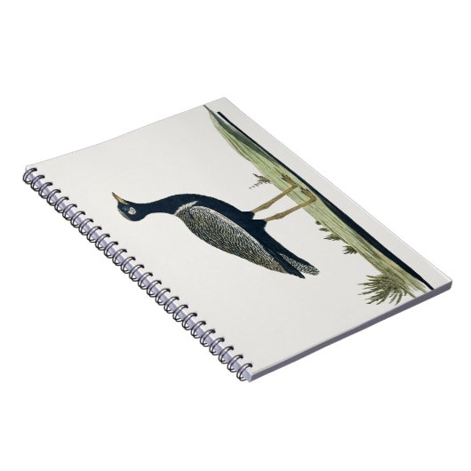 Südlicher Korhaan - Notizblock (Rechte Seite)