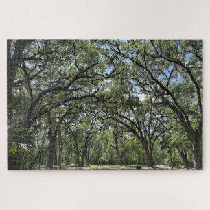 Südlicher Live-Oak-Baumkronen Puzzle