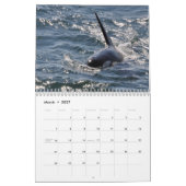 Südlicher Residentkalender des Killerwal-2013 Kalender (Mär 2027)