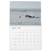 Südlicher Residentkalender des Killerwal-2013 Kalender (Feb 2027)