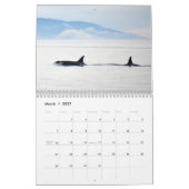 Südlicher Residentkalender des Killerwal-2014 Kalender (Mär 2027)