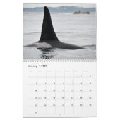 Südlicher Residentkalender des Killerwal-2014 Kalender (Jan 2027)