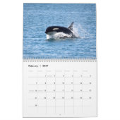 Südlicher Residentkalender des Killerwal-2014 Kalender (Feb 2027)