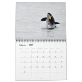 Südlicher Residentkalender des Killerwal-2015 Kalender (Feb 2027)