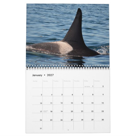 Südlicher Residentkalender des Killerwal-2015 Kalender (Jan 2027)