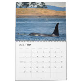 Südlicher Residentkalender des Killerwal-2015 Kalender (Mär 2027)