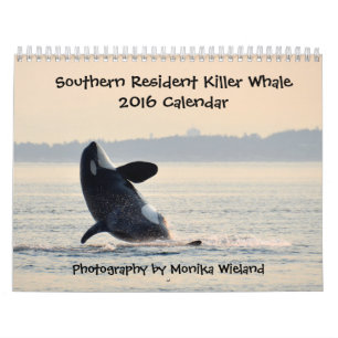 Südlicher Residentkalender des Killerwal-2016 Kalender