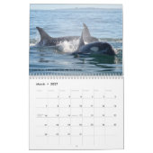 Südlicher Residentkalender des Killerwal-2017 Kalender (Mär 2027)