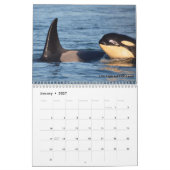 Südlicher Residentkalender des Killerwal-2017 Kalender (Jan 2027)