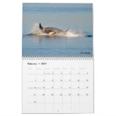 Südlicher Residentkalender des Killerwal-2017 Kalender (Feb 2027)