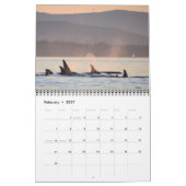 Südlicher Residentkalender des Killerwal-2018 Kalender (Feb 2027)