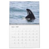 Südlicher Residentkalender des Killerwal-2018 Kalender (Mär 2027)