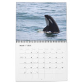 Südlicher Residentkalender des Killerwal-2018 Kalender (Mär 2026)