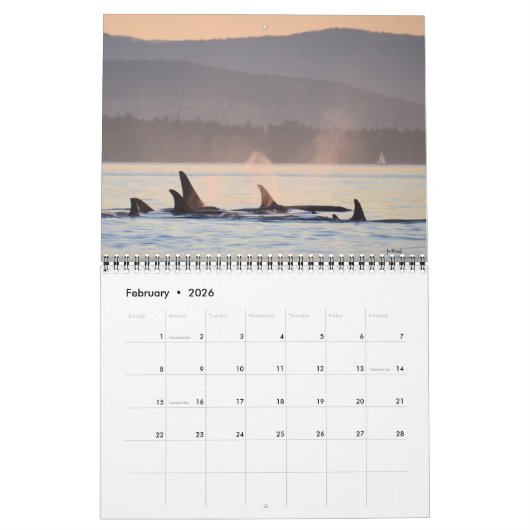 Südlicher Residentkalender des Killerwal-2018 Kalender (Feb 2026)