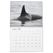 Südlicher Residentkalender des Killerwal-2019 Kalender (Jan 2027)