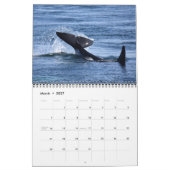Südlicher Residentkalender des Killerwal-2019 Kalender (Mär 2027)