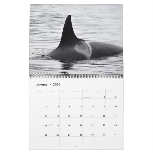 Südlicher Residentkalender des Killerwal-2019 Kalender (Jan 2026)