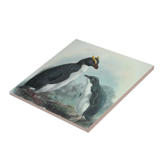 Südlicher Rockhopper-Penguin Fliese (Seite)