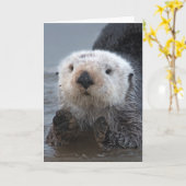 Südlicher Seeotter (Enhydra lutris) Karte (Gelbe Blume)