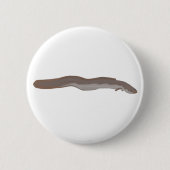Südlicher Shortfin Button (Vorderseite)
