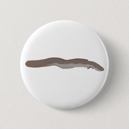 Südlicher Shortfin Button (Vorderseite)