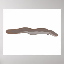 Südlicher Shortfin Poster