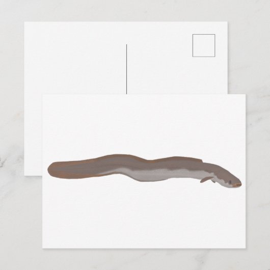 Südlicher Shortfin Postkarte (Vorne/Hinten)