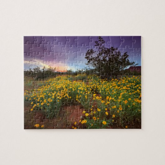 Südlicher Utah-Wüsten-Wildblumen-Sonnenuntergang Puzzle (Horizontal)
