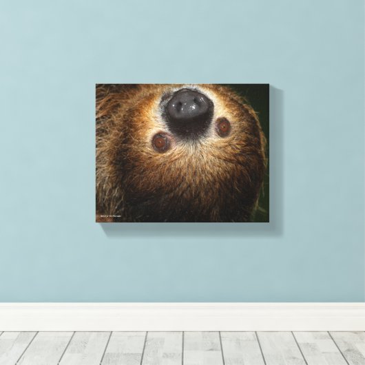 Südlicher Zweizahn Leinwanddruck (Insitu (Holzboden))