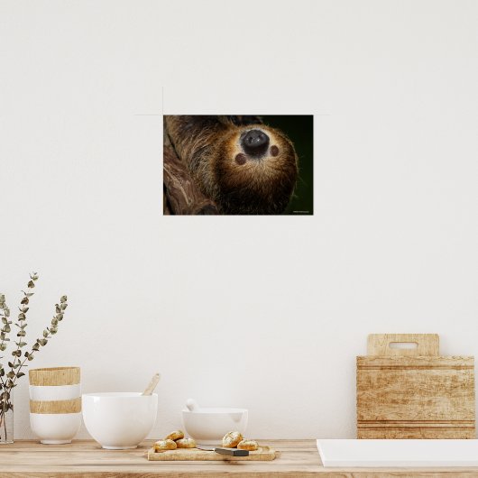 Südlicher Zweizahn Poster (Küche)